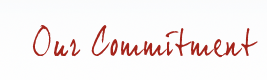 Our commitment